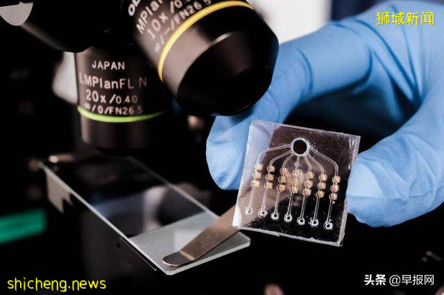 新加坡国大首创一滴血一小时 可知癌症治疗是否有效