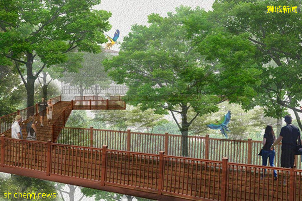 舊樟宜醫院不再陰森森⁉️ 創意提案中華麗變身星空觀景台🌌 樟宜角沿海森林步道提案獲勝