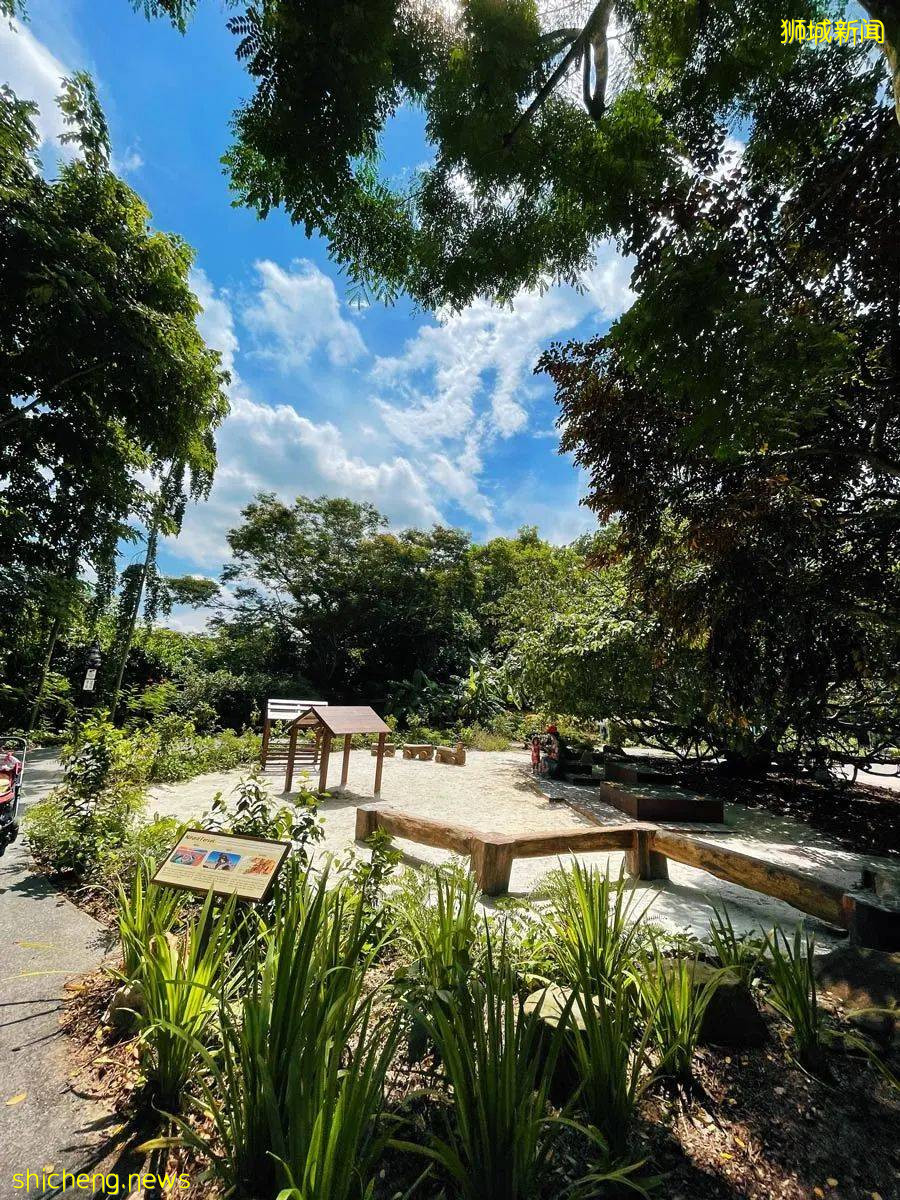 新加坡的娃太太太太幸福了！亞洲最大兒童花園，免~費~玩