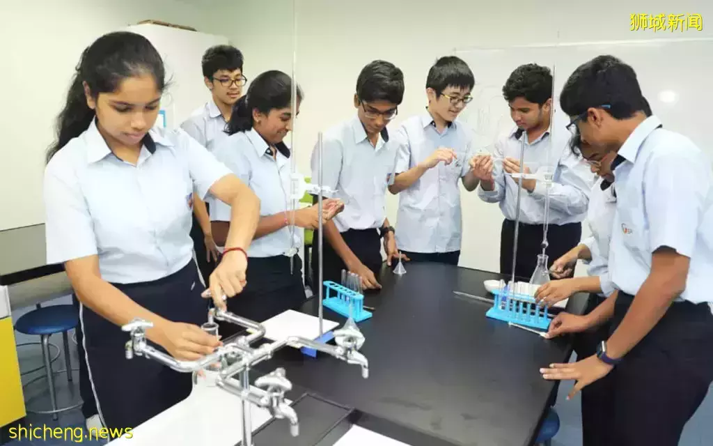 史上最強攻略!在新加坡如何選學校?國際學校vs政府學校,哪個好