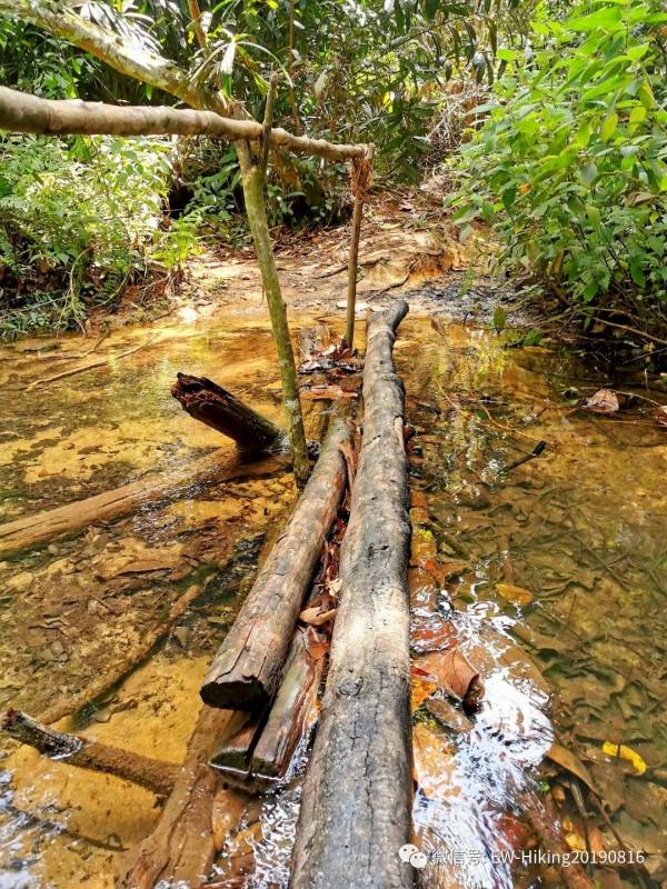 卡迪至山景(丛林探索之旅)