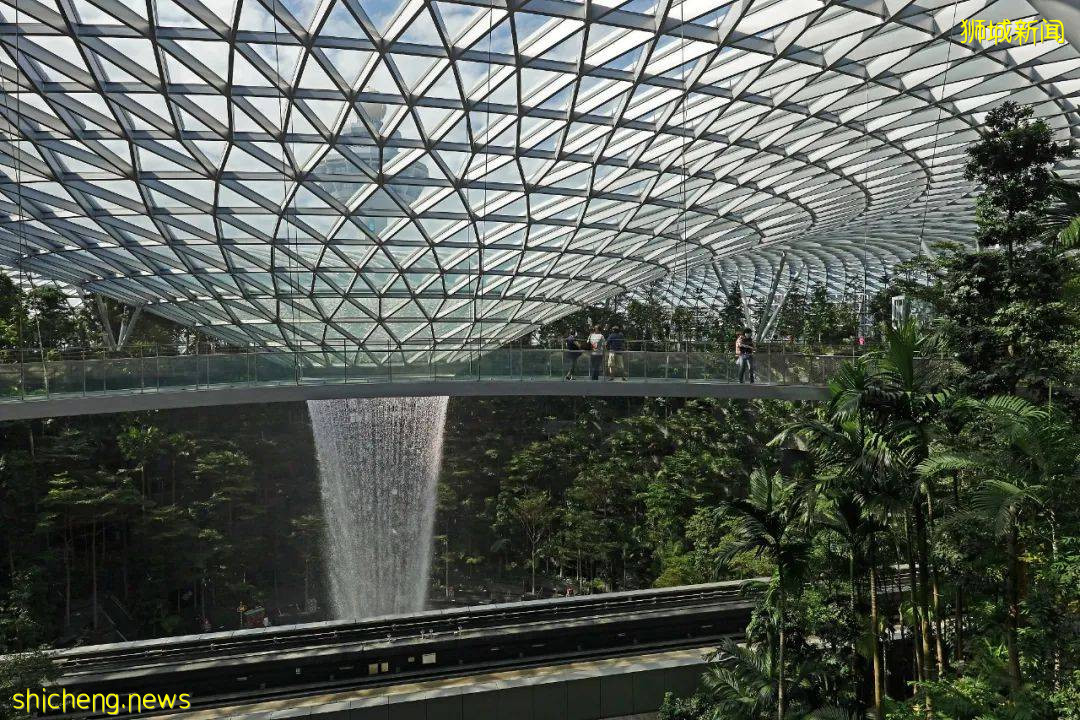 抗疫“模範生”新加坡近期哪裏出錯了?Privilege怎麽說沒就沒了