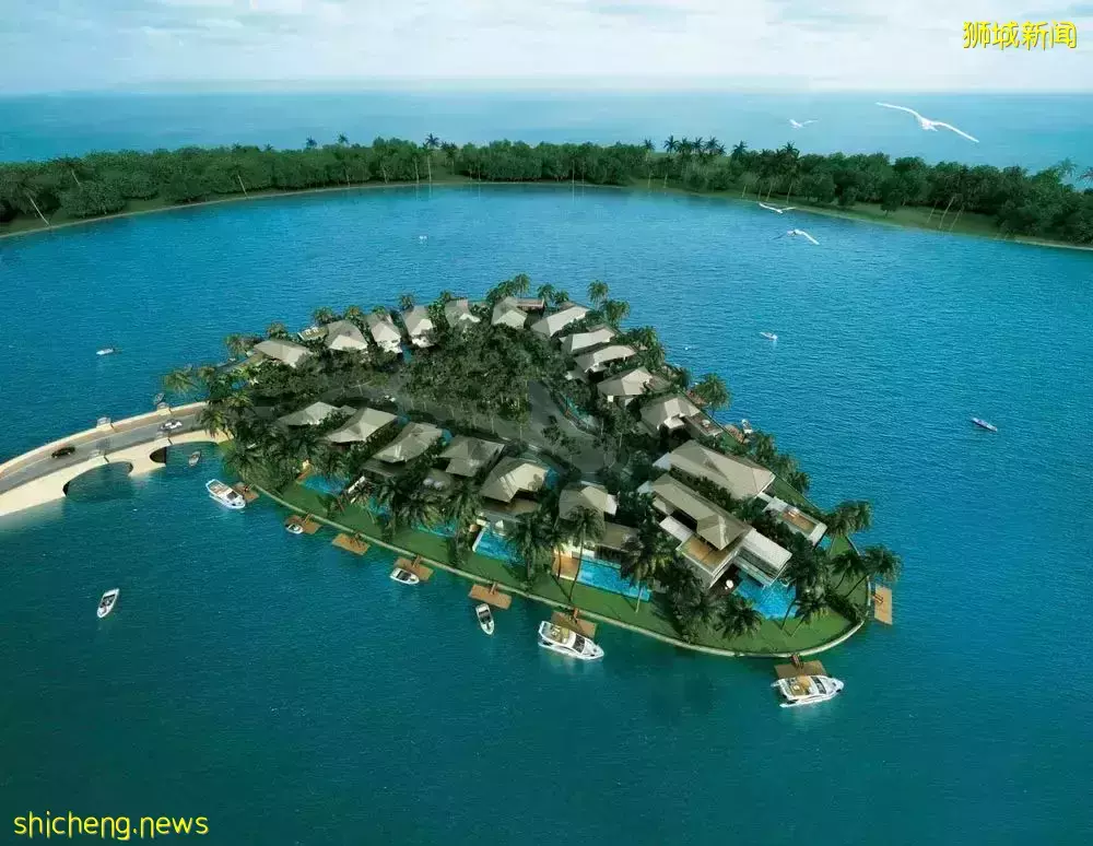 “投资者福音”在升涛湾看星辰大海,赏繁华似锦