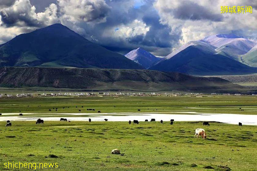 在新加坡请女佣有诸多不易,过来人的一点心路历程