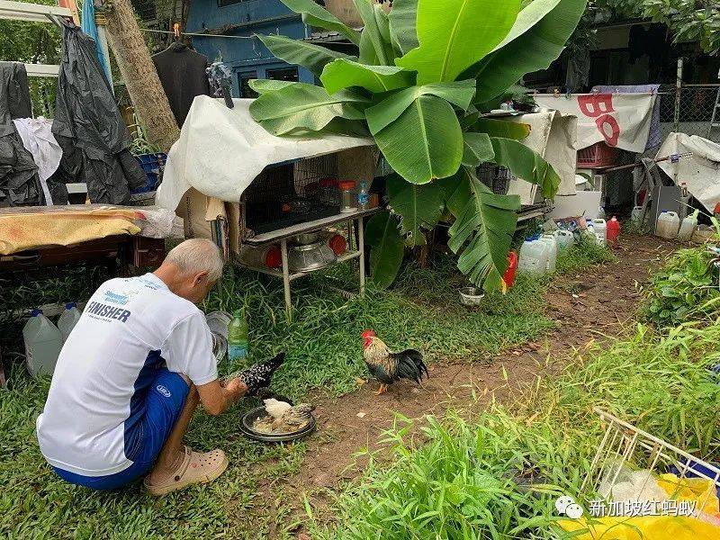 新加坡紅燈區附近的巷子走入曆史　連神像都必須漂洋過海去馬來西亞安家