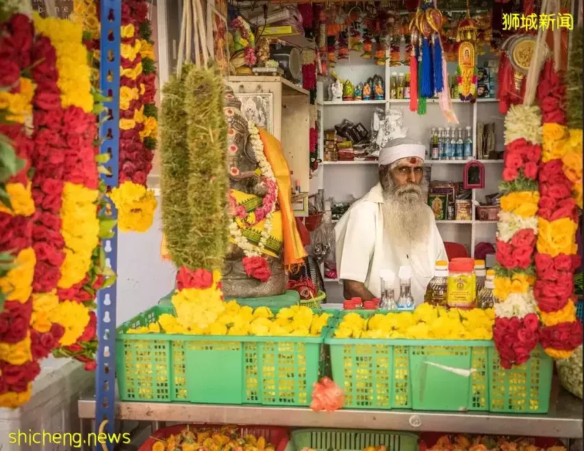 我勸你,千萬別來新加坡