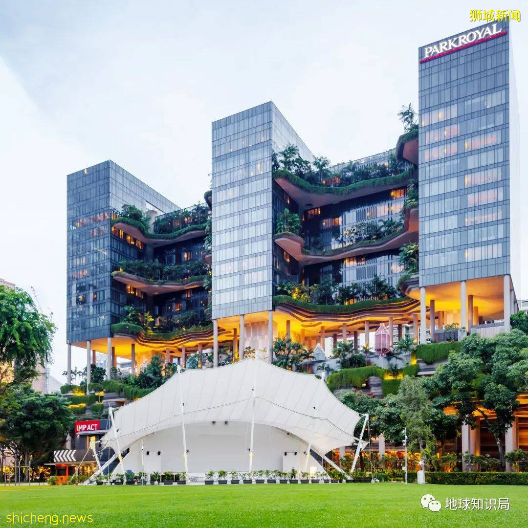 你知道新加坡爲什麽還被稱爲海綿城市嗎