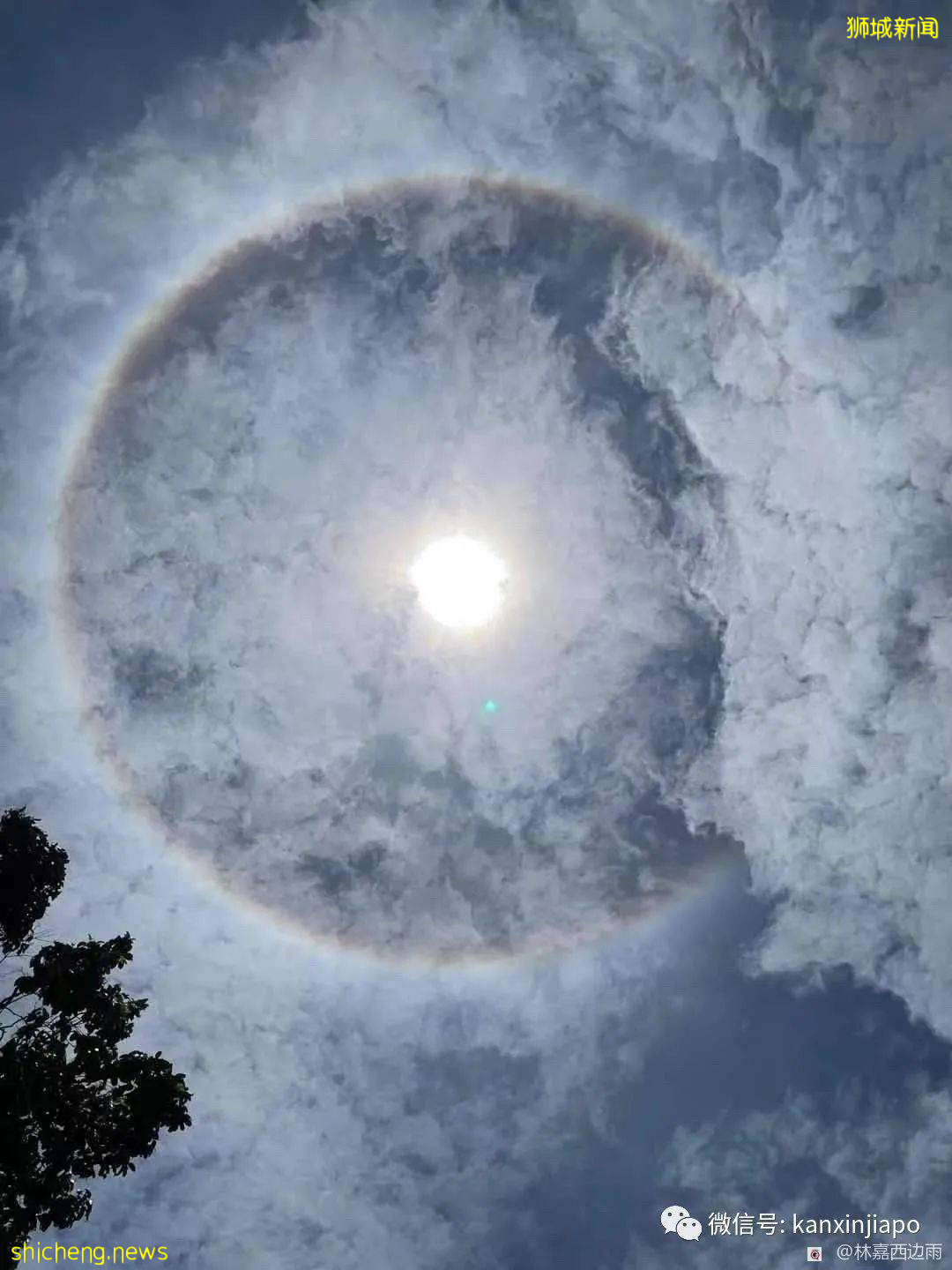 罕见!新加坡出现日晕,祥瑞之兆