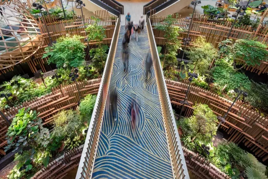 拥有2400多种植物,还有小鸟生活,新加坡这家酒店太美