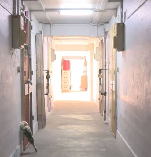 累藏屍五年的媽媽獲釋