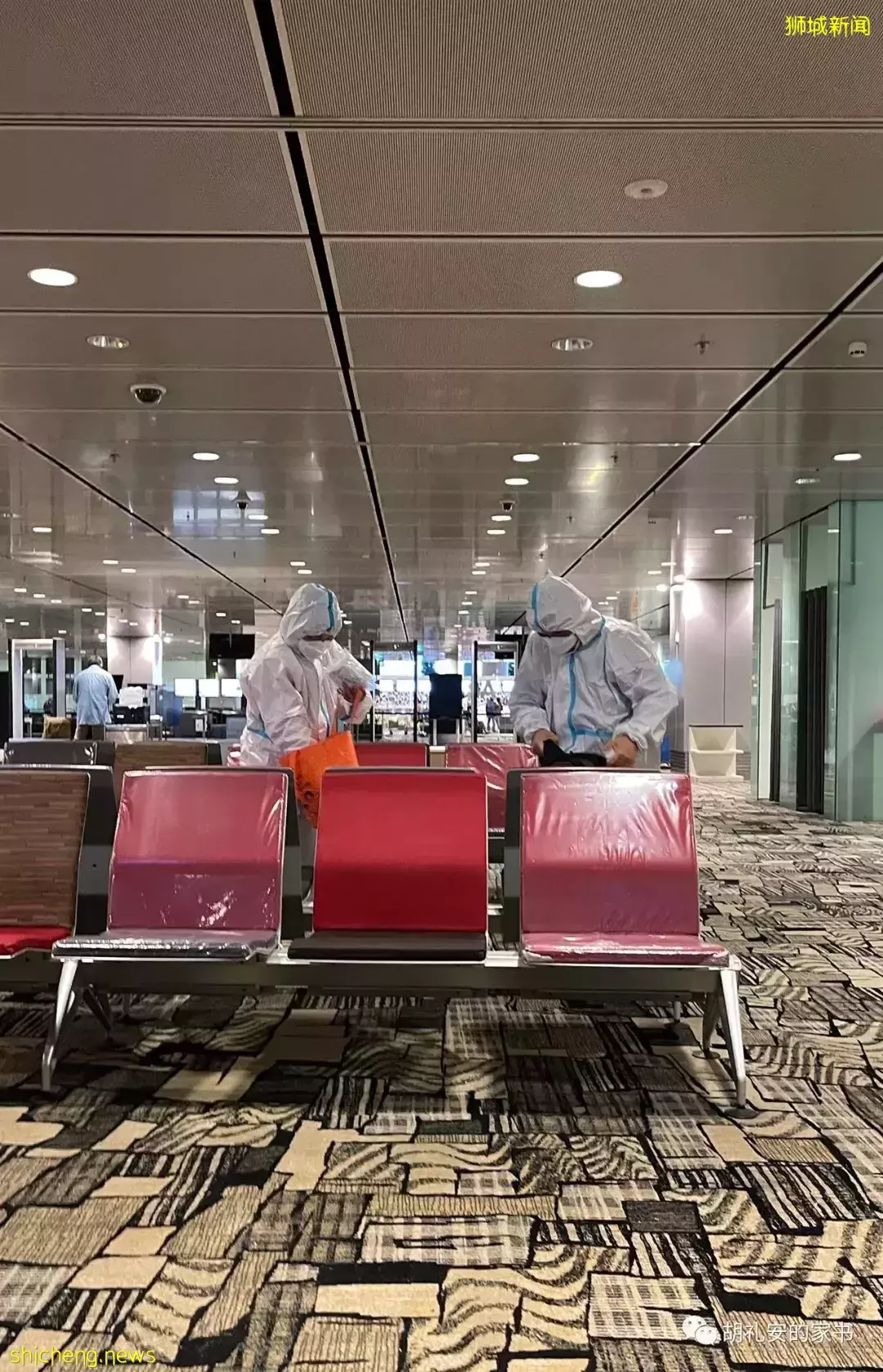 全過程記錄!4月4日從新加坡飛往封城中的上海,入境隔離多圖