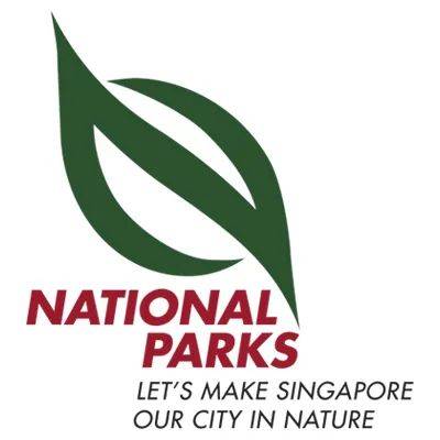 新加坡两处森林将被清理，谁来决定自然保护区的命运