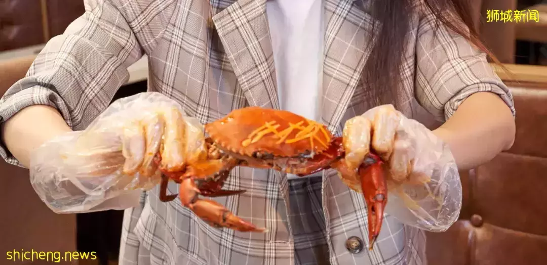 吃到扶墙出!在新加坡,我是这么实现海鲜自由的