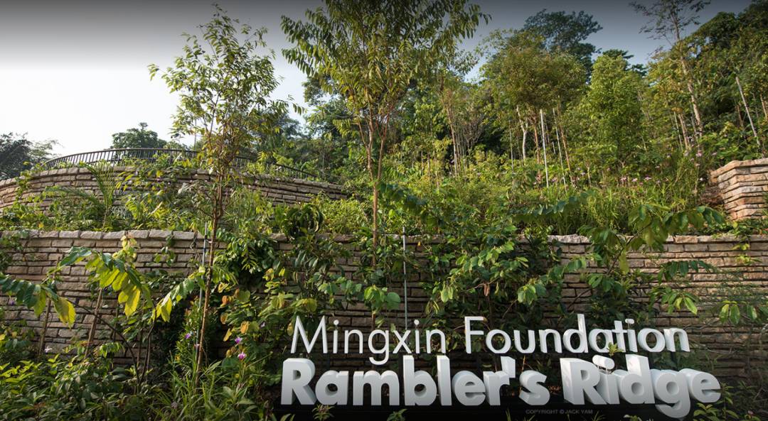 新加坡植物園爆火新景點,不知道怎麽去?手把手教你遊玩攻略