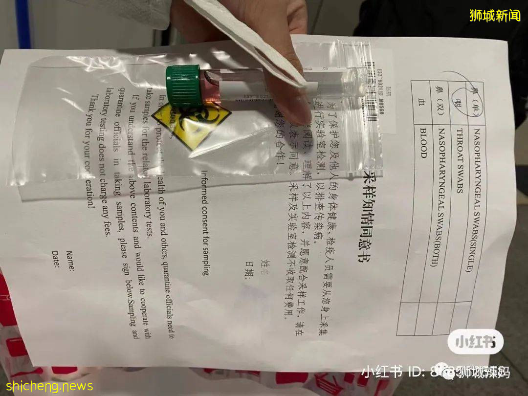 最近回国的朋友看过来!从新加坡飞上海全程直播