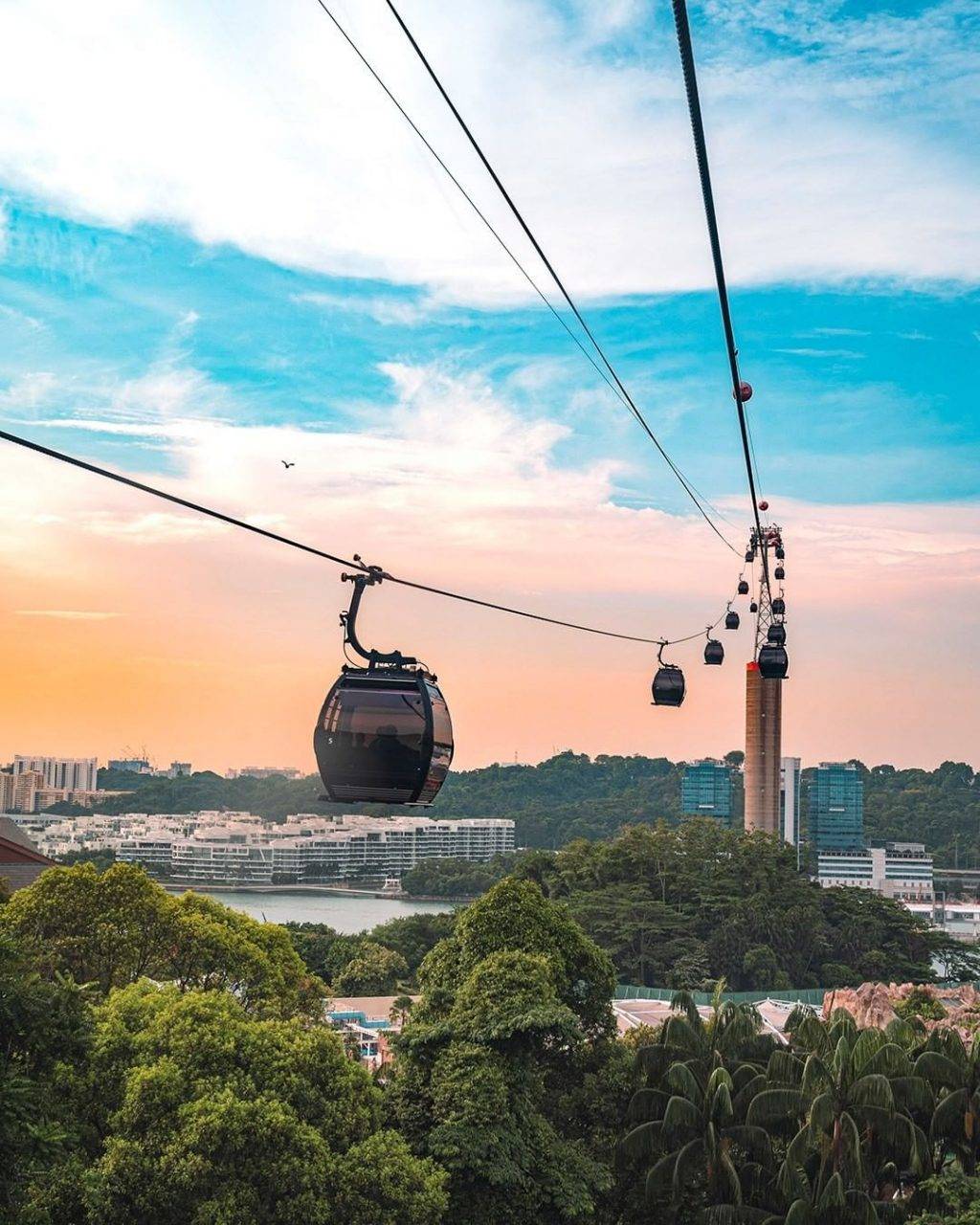 玩轉聖淘沙🌊 新加坡聖淘沙“省錢”旅遊全攻略!免費活動大合集+纜車特價只要S$3🔥