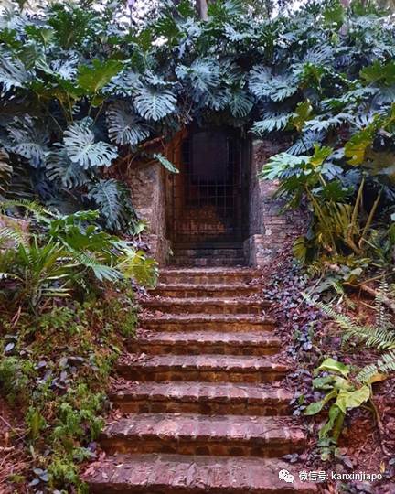 花式慶萬聖,陰森恐怖的探險之地,你敢挑戰嗎