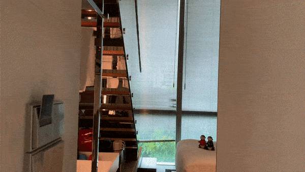 一群水獭惊现新加坡酒店,带娃带情侣开启超萌宅度假