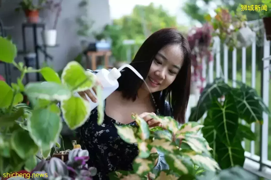 小小組屋內有百盆植物，園藝爲何讓這對新加坡小夫妻如此著迷