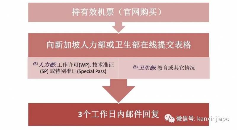 从新加坡回中国的特殊时期，人民群众整理出全套实用攻略