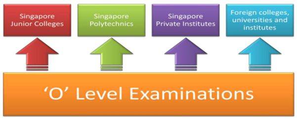名校輯!國際學校的“明星學校”——史丹福美國國際學校