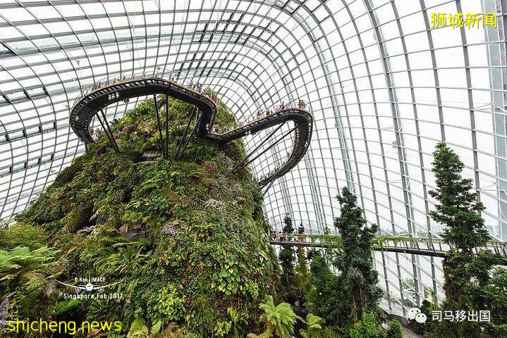 新加坡“花園中的城市”，看看這些巨樹參天的新奇景觀