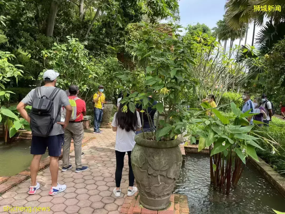 實拍周日的新加坡:商場、景點、食閣到處是人!又一波放寬政策來了