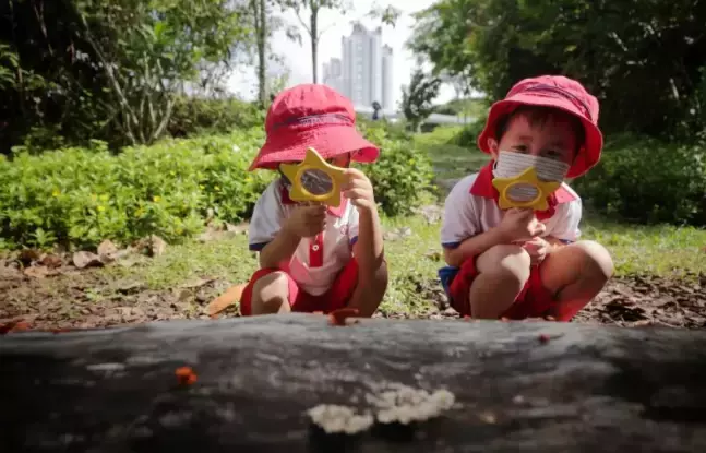 蘊含騎馬、做瑜伽、參觀水族館等活動!新加坡的學前教育原來這樣豐富多彩,你心動了嗎
