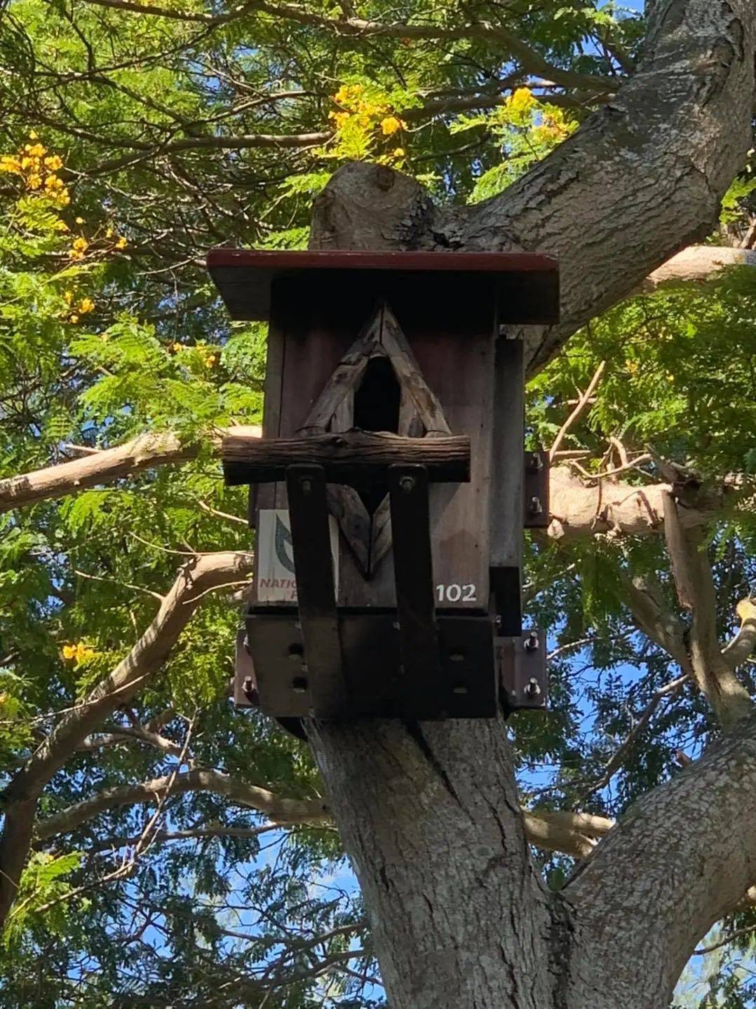 東海岸Big Splash水上樂園關閉四年,搖身一變成爲全新海岸樂園Coastal PlayGrove