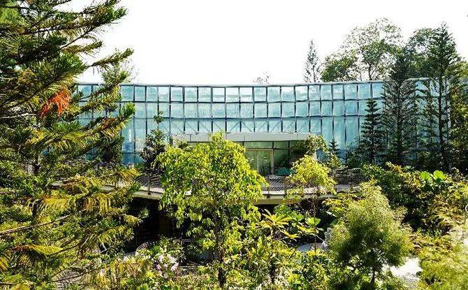 厲害了！新加坡封城一周年之際，狂開10個新景點准備迎外國遊客