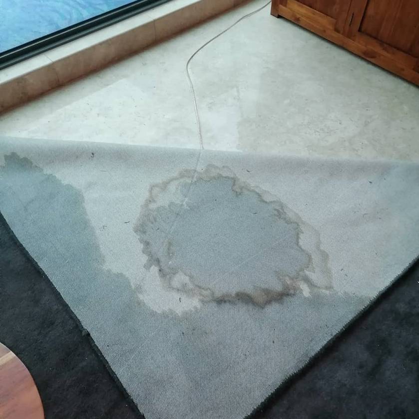 新加坡一夜入冬，22℃！暴雨48小时未停，多地区被淹