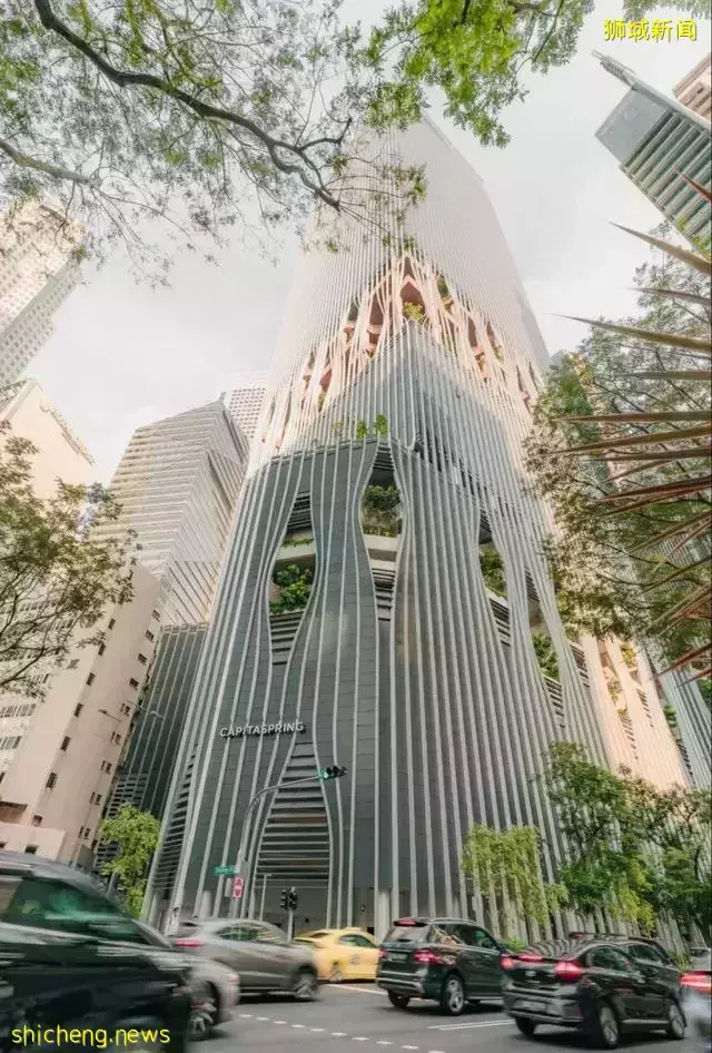 CapitaSpring大楼新加坡最新地标竣工，空中花园开放参观