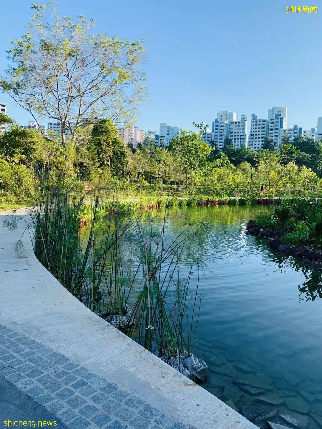 美到不行的裕廊湖畔花园,你不来打卡一下吗