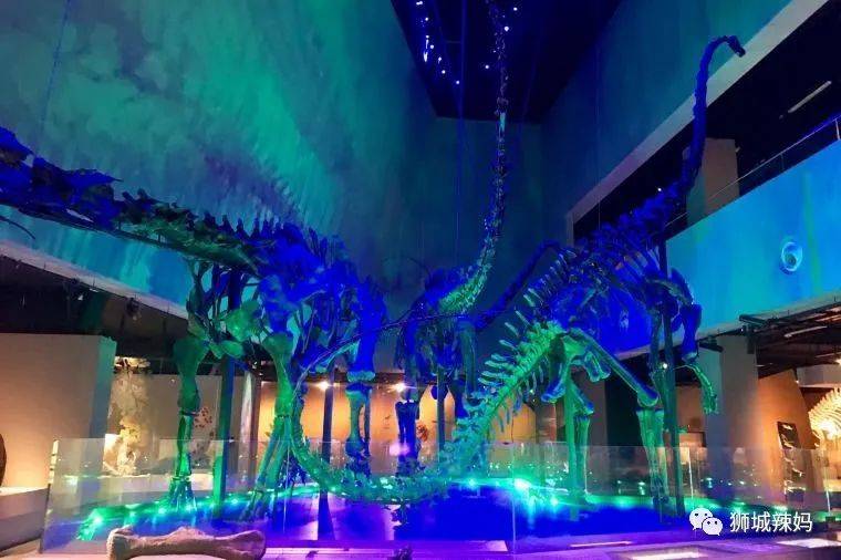 【春節去哪】免費電影票，15部賀歲大片，24小時最美書店，自助餐買1送1，high起來