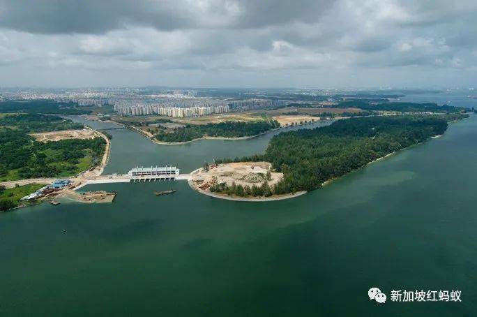 小小的新加坡竟有17个水库　一个比一个清幽秀丽