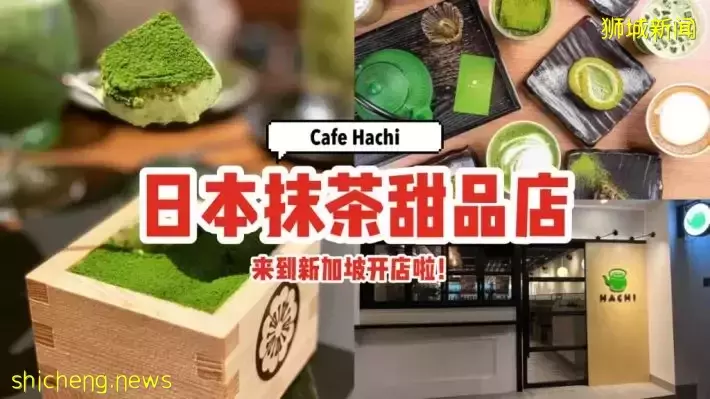 快来探新店！日本抹茶甜品Cafe Hachi来到新加坡了~🍵各式抹茶甜食及饮料，保证吸引你🤩