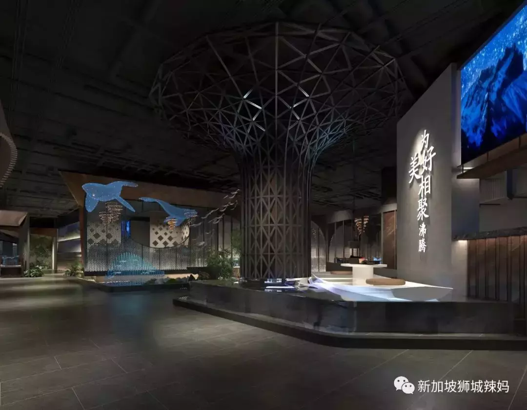 排队5小时!网红凑凑火锅来新加坡了!锅底无限续、奶茶免费喝!菜品大曝光