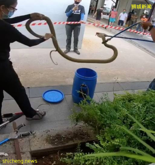 解封後，新加坡有“一對情侶”在馬路上沒戴口罩，公然擁抱!