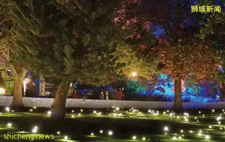 I Light Singapore燈光藝術品，照亮新加坡夜景