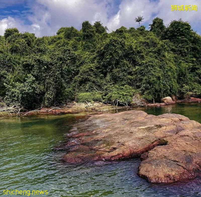 新加坡小衆INS打卡地，收藏給即將要來的朋友們吧