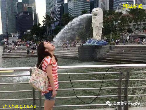 最新留学生学历认证指南