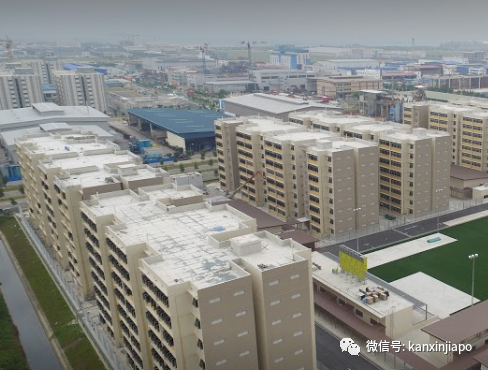 新增X例,累计X例|新加坡拐点未到,专家建议阻断措施延长2周