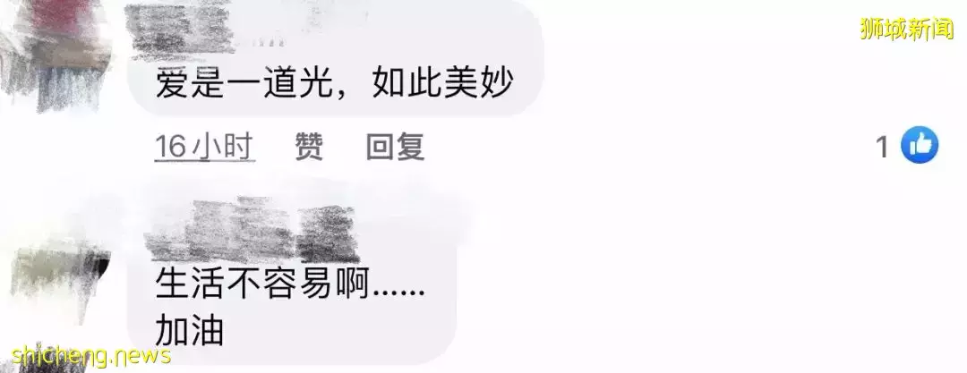 来新加坡一年半,发现妻子有了二胎!他在机场跪地磕头痛哭