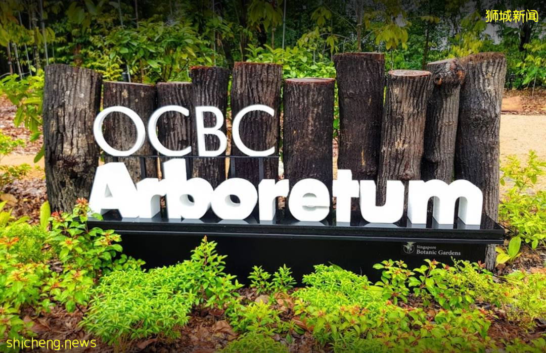 丛林游乐场、自然博物馆、山路徒步……新加坡这个公园翻新后更好玩啦