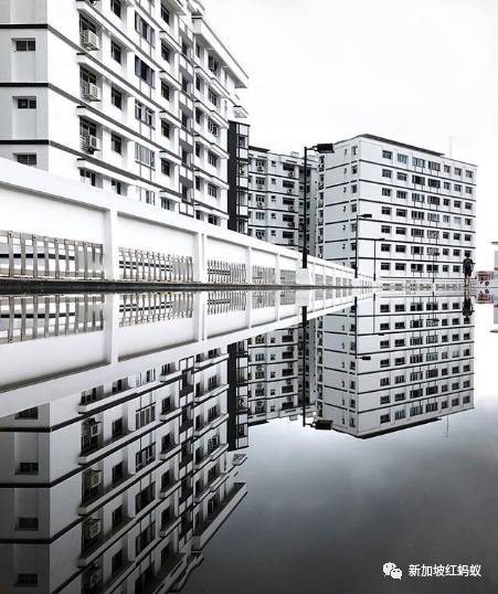 新加坡人镜头下“家的形状”是什么? 答案就在2500多张照片里