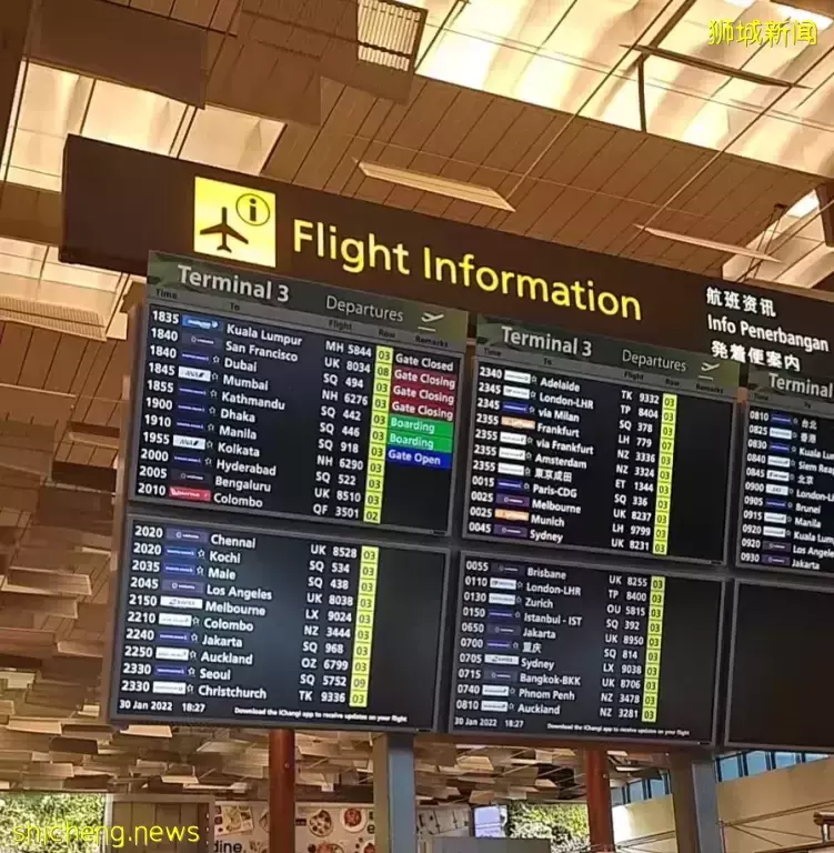 移民新加坡有捷徑？最快20天可火速登陸