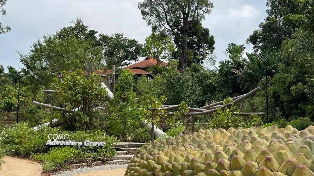 新加坡植物園3月最新兒童樂園,你肯定沒去過!16大遊玩攻略,走起