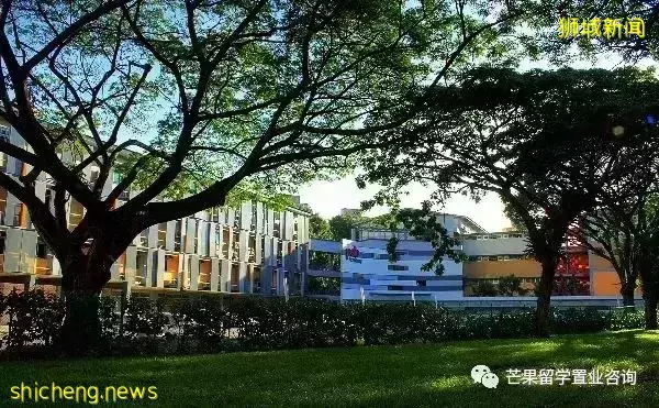 为什么学生会选择留在新加坡就业