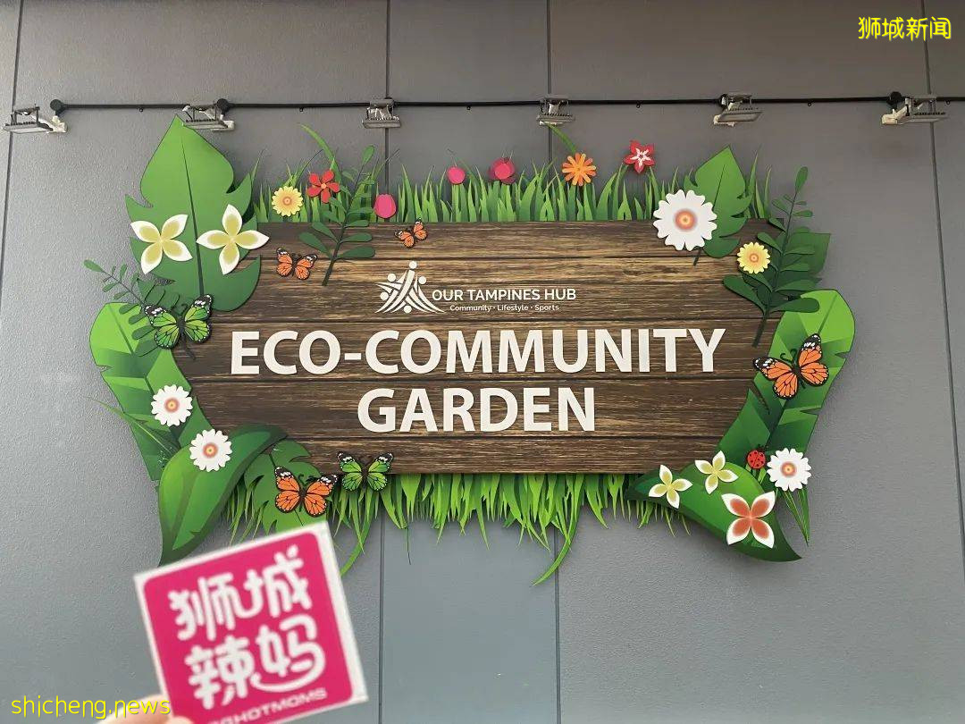 李顯龍總理打Call的超級大商城！開業就5000人擠爆，內附吃喝玩樂攻略