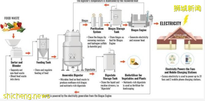 降低碳排放,食物垃圾巧利用,新加坡國立大學又立新功